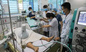Ca sốt xuất huyết tại TP HCM tăng