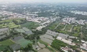 Thanh khoản đất nền giảm sâu năm 2024