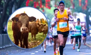 Tặng gia súc, gia cầm cho runner về đích ở giải Trung Quốc