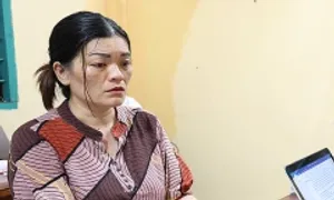 Trộm vàng, tiền trị giá 2 tỷ đồng của cô chồng