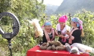 Người Việt chi hơn tỷ USD mua hàng online mỗi tháng